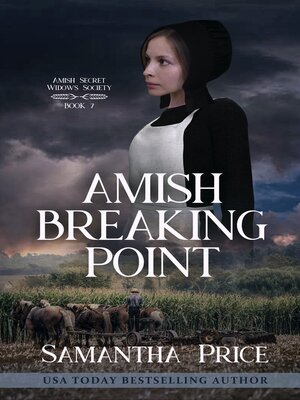 Amish Breaking Point - ebook
